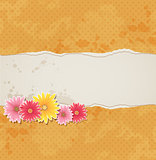 Background with flowers and torn paper