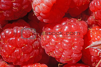 Ripe raspberry as a background extreme close-up (macro)