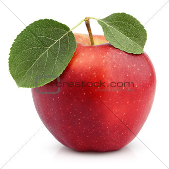 Red apple with green leaf isolated on white
