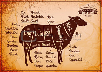 poster with detailed diagram cutting lamb