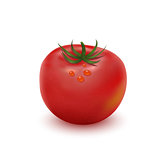 Illustration of big ripe red fresh tomato isolated on white