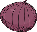 Isolated Red Onion