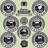 set of icons on the theme farm fresh