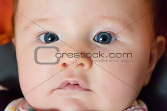Cute newborn infant