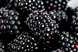 Sweet details of blackberry