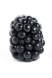 Sweet blackberry isolated on white background