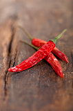 dry red chili peppers 