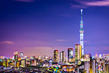 Tokyo Cityscape with Skytree