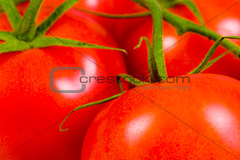 Bunch of ripe fresh red tomatoes