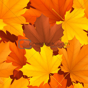Autumn leaves pattern.