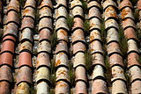 tile roof  grassy