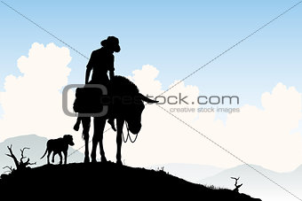 Donkey traveler