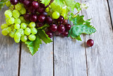 Green and red grape background