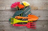 Gardening tools, gloves and gerbera flowers
