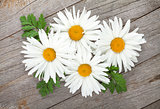 Daisy  camomile flowers on wooden background