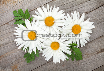 Daisy  camomile flowers on wooden background