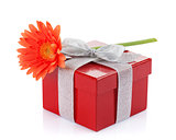 Orange gerbera flower over gift box