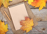 Blank notepad and colorful autumn maple leaves