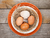 Eggs nest