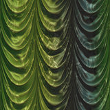 Green curtain with pattern