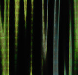 Green curtains