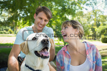Happy couple sitting with their labrador in the park