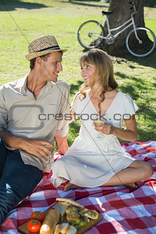 Cute smiling couple drinking white wine on a picnic