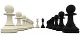 Black and white king standing with pawns