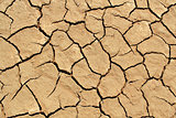 Soil detail of a dry pan, in the Sossusvlei sand dunes