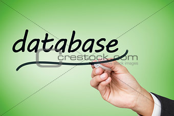 Businesswoman writing the word database