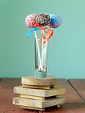 Variety of colorful cake pops - chocolate, vanilla and caramel flavors