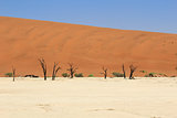 Sossusvlei dead valley landscape in the Nanib desert