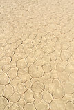 Soil detail of a dry pan, in the Sossusvlei sand dunes, Namibia