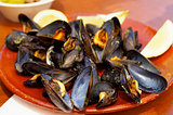 Boiled Mussels