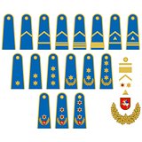 Lithuanian Air Force insignia