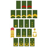 Netherlands Army insignia