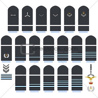 Royal Air Force insignia