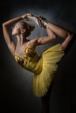 Lovely ballerina in yellow tutu
