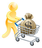 Money shopping cart trolley person