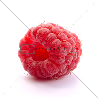 Ripe Red Juicy Raspberry Isolated on White Background