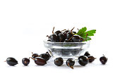 Ripe Black Currants in the Glass Bowl Isolated on the White