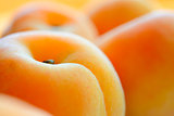 Closeup Image of Ripe Juicy Apricots