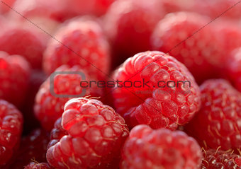 Closeup Image of the Juicy Raspberries
