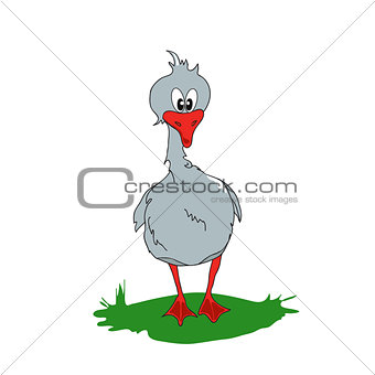 Cartoon gray goose on a green glade.
