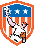 Baseball Pitcher Throw Ball Shield Cartoon