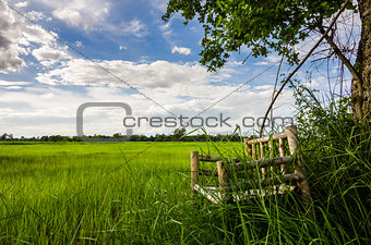 Bamboo wooden chairs on grass