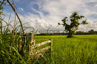 Bamboo wooden chairs on grass