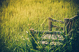 Bamboo wooden chairs on grass vintage
