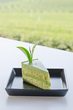 Green  cake