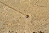 Old, cracked concrete surface